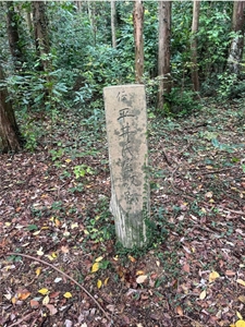 ブログ(史跡/100名城・続100名城7)