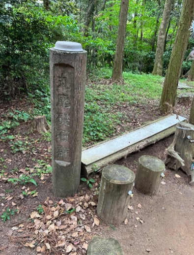 ブログ(史跡/100名城・続100名城7)