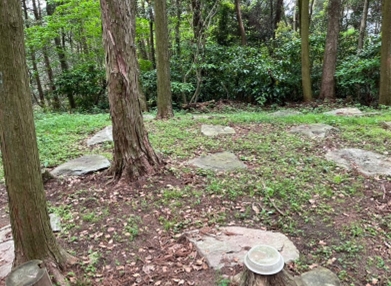 ブログ(史跡/100名城・続100名城7)