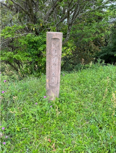 ブログ(史跡/100名城・続100名城7)