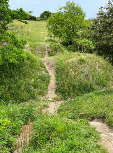 ブログ(史跡/100名城・続100名城7)