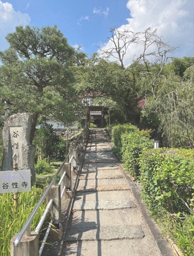 ブログ(史跡/100名城・続100名城7)