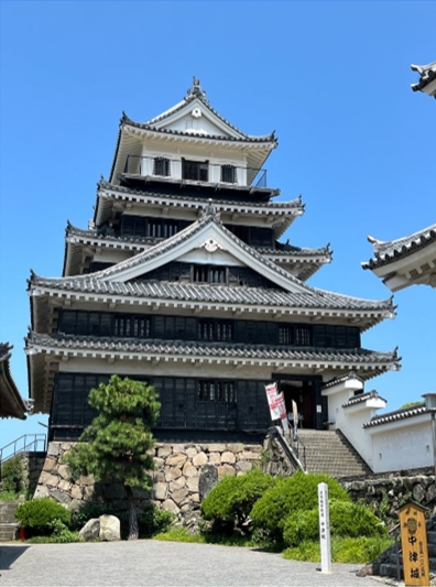 ブログ(史跡/100名城・続100名城7)