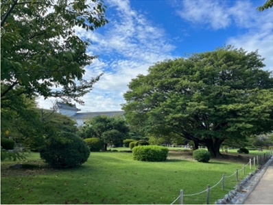 ブログ(史跡/100名城・続100名城7)