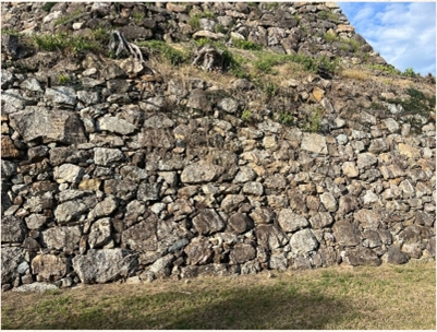 ブログ(史跡/100名城・続100名城7)