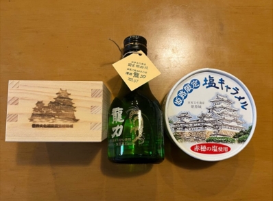 ブログ(史跡/100名城・続100名城7)