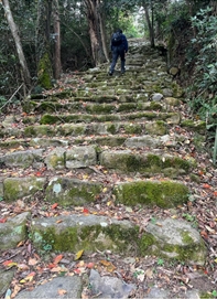 ブログ(史跡/100名城・続100名城7)