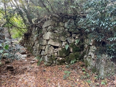 ブログ(史跡/100名城・続100名城7)