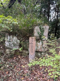 ブログ(史跡/100名城・続100名城7)