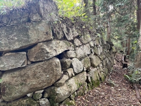 ブログ(史跡/100名城・続100名城7)