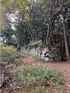 ブログ(史跡/100名城・続100名城7)