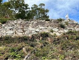 ブログ(史跡/100名城・続100名城7)