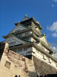 ブログ(史跡/100名城・続100名城7)