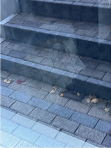 ブログ(史跡/100名城・続100名城7)