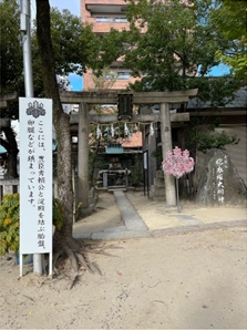 ブログ(史跡/100名城・続100名城7)