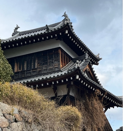 ブログ(史跡/100名城・続100名城7)