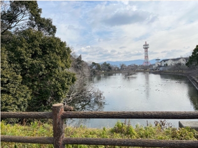 ブログ(史跡/100名城・続100名城7)