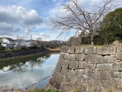 ブログ(史跡/100名城・続100名城7)