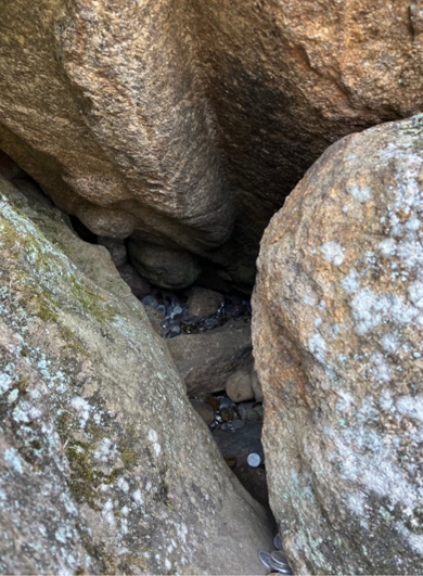 ブログ(史跡/100名城・続100名城7)