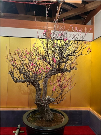 ブログ(史跡/100名城・続100名城7)