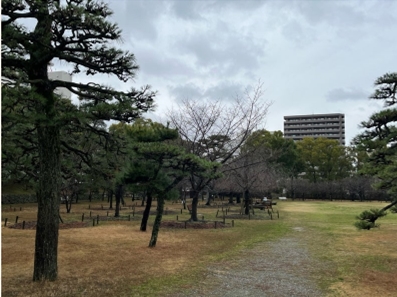 ブログ(史跡/100名城・続100名城7)