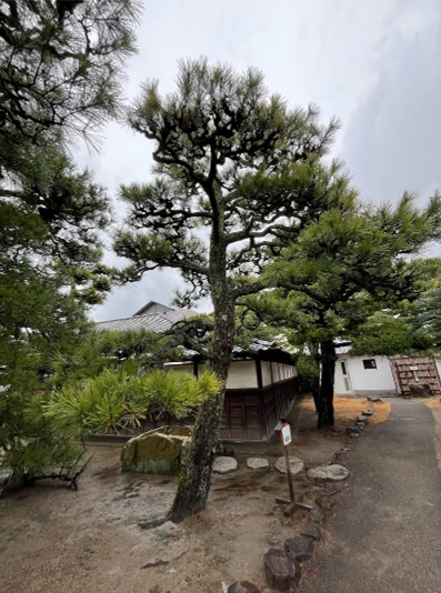 ブログ(史跡/100名城・続100名城7)