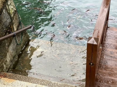 ブログ(史跡/100名城・続100名城7)