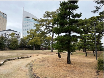 ブログ(史跡/100名城・続100名城7)