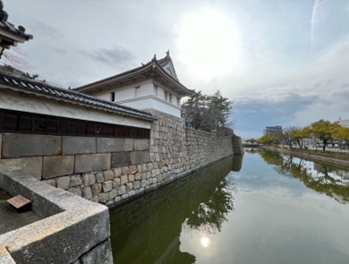 ブログ(史跡/100名城・続100名城7)