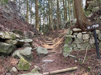 ブログ(史跡/100名城・続100名城7)