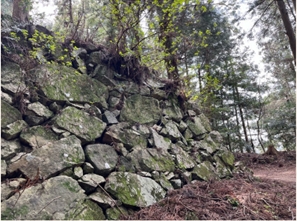 ブログ(史跡/100名城・続100名城7)