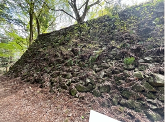 ブログ(史跡/100名城・続100名城7)