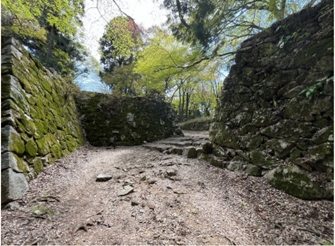 ブログ(史跡/100名城・続100名城7)