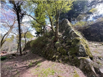 ブログ(史跡/100名城・続100名城7)