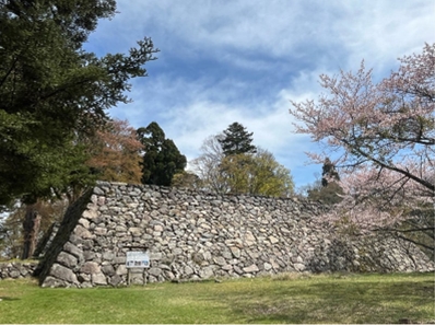 ブログ(史跡/100名城・続100名城7)