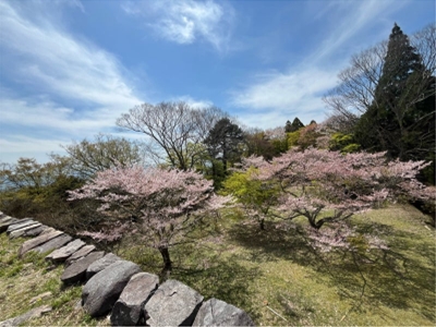 ブログ(史跡/100名城・続100名城7)