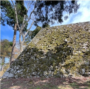 ブログ(史跡/100名城・続100名城7)