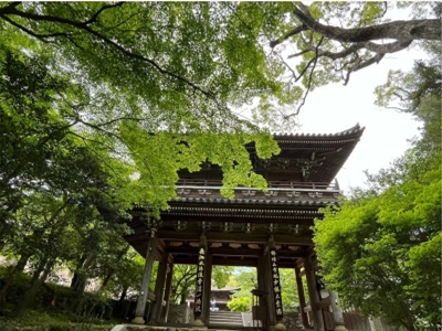 ブログ(史跡/幕末3)