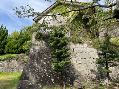 ブログ(史跡/100名城・続100名城9)