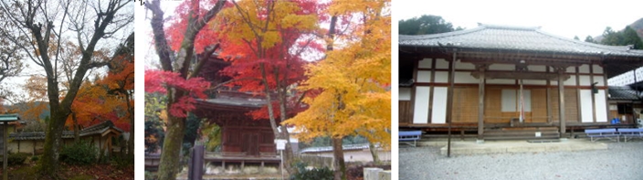 ブログ(史跡/南北朝2)