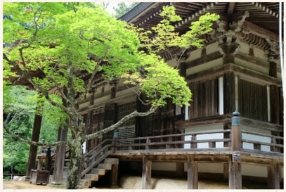 ブログ(史跡/南北朝2)