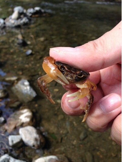 ブログ(史跡/南北朝2)