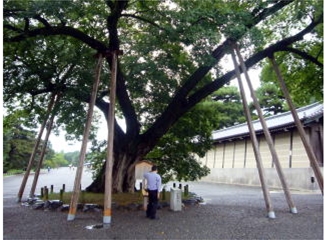 ブログ(史跡/幕末2)