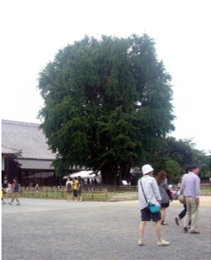 ブログ(史跡/幕末2)