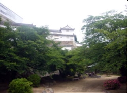 �u���O�i�j��/�S����E���S����P�j