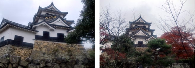 �u���O�i�j��/�S����E���S����P�j