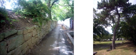 �u���O�i�j��/�S����E���S����P�j