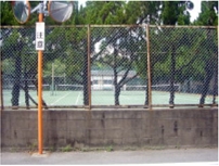 �u���O�i�j��/�S����E���S����P�j