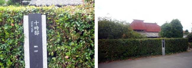 �u���O�i�j��/�S����E���S����P�j