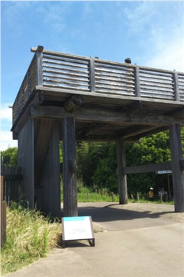 ブログ(史跡/百名城・続百名城3)